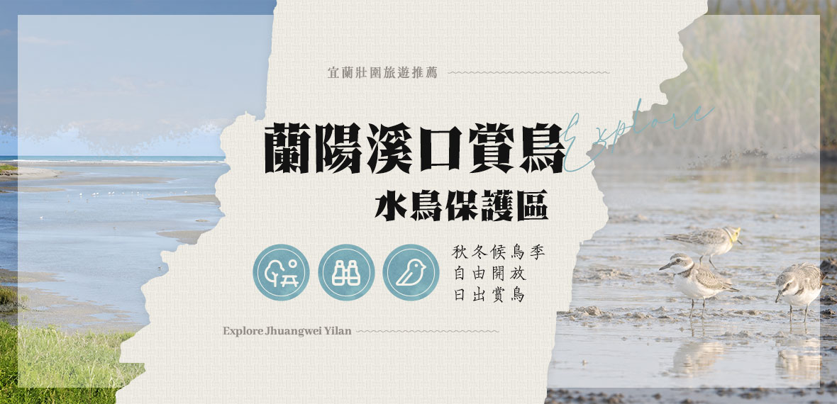 蘭陽溪口水鳥
